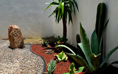 Cambio de pasto seco por un jardín desertico.